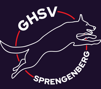 GHSV Sprengenberg